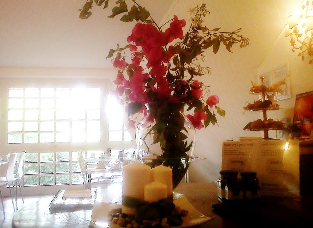 Bed And Breakfast Aloisio San Gregorio di Catania Ngoại thất bức ảnh