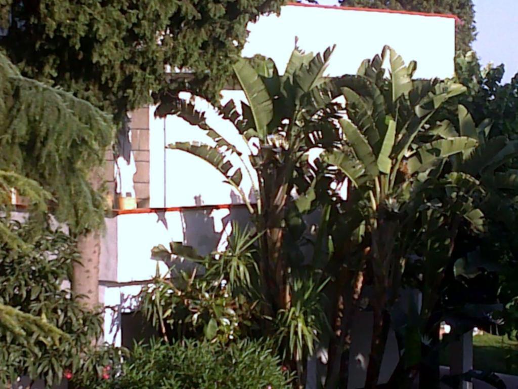 Bed And Breakfast Aloisio San Gregorio di Catania Ngoại thất bức ảnh