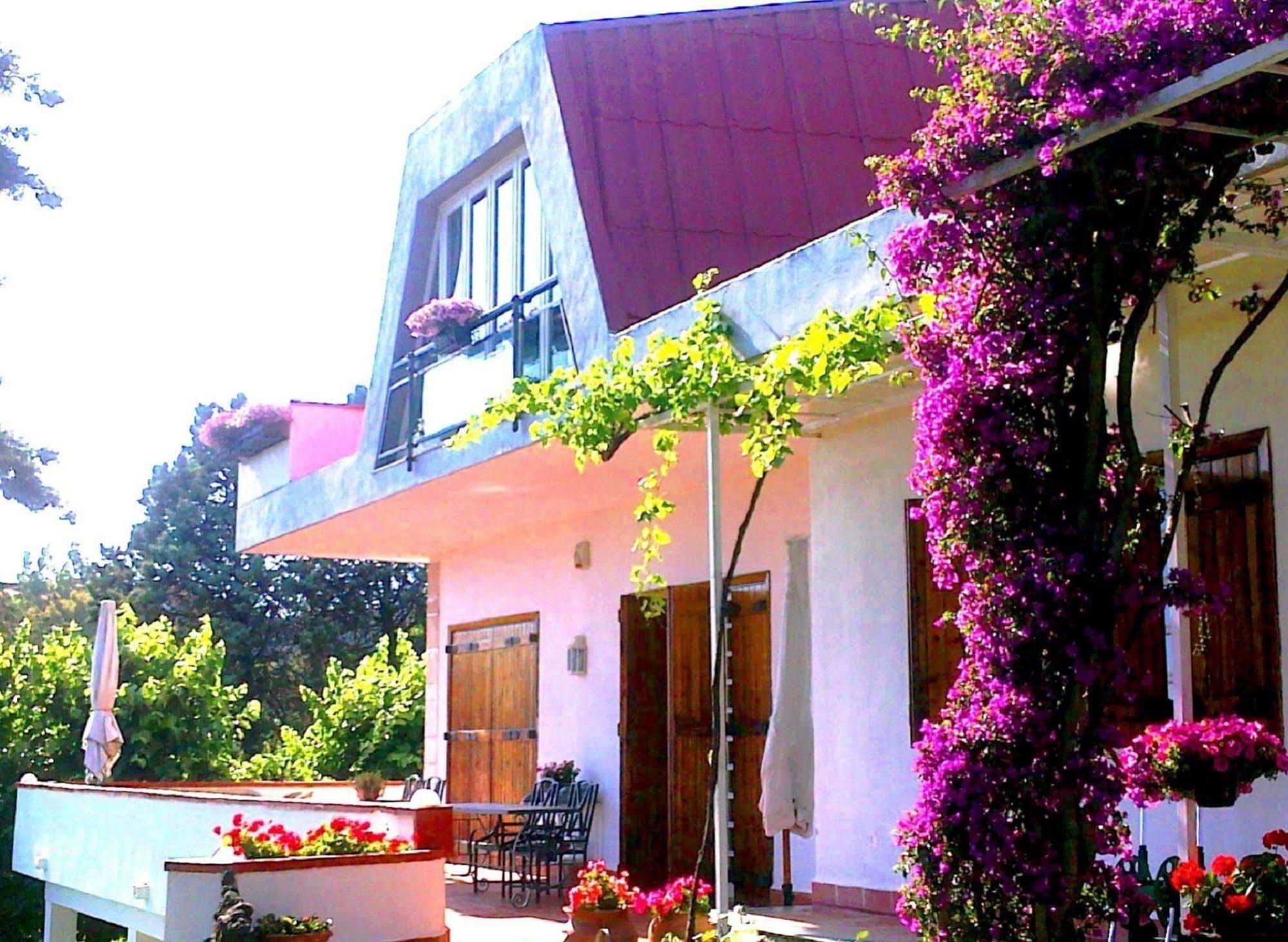 Bed And Breakfast Aloisio San Gregorio di Catania Ngoại thất bức ảnh